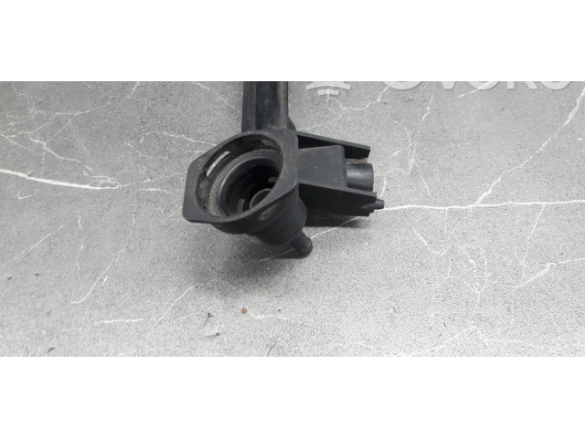 Топливная рампа Renault Clio II