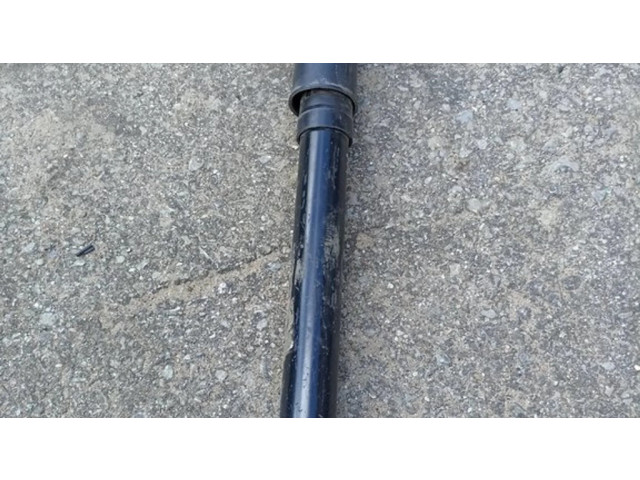 Задний aмортизатор      