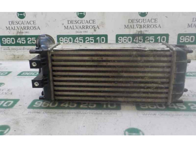 Интеркулер     Peugeot Partner 