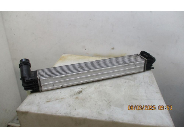 Интеркулер  8200880552, 8200880552   Dacia Duster 