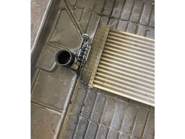 Интеркулер  A2515000000   Mercedes-Benz R W251 