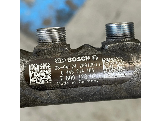 Vstřikovací lišta 7809128, 289100L1 BMW 3 E92 E93 pro naftový motor 2.0 N47D20A