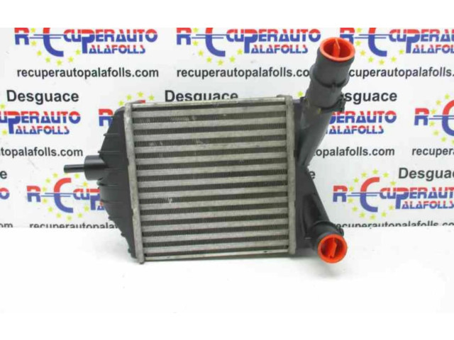Интеркулер     Fiat Punto (188) 