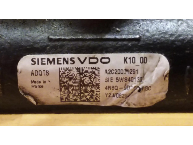 Топливная рампа A2C20001291, 5WS40130 Jaguar S-Type 2.7