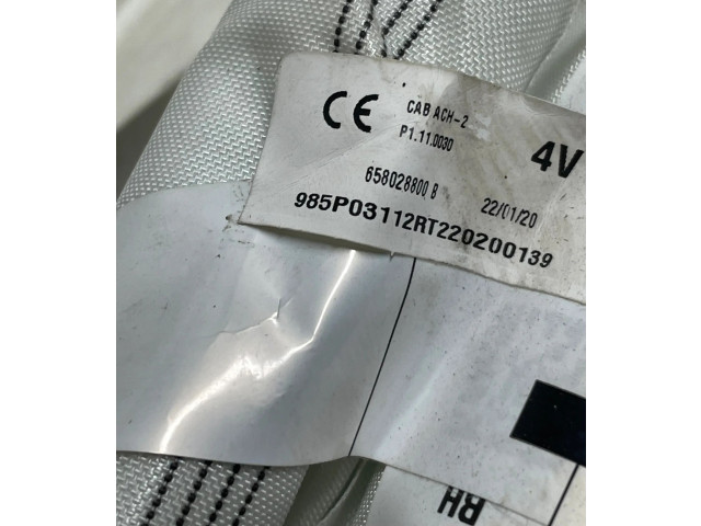 Боковая подушка безопасности    Dacia Spring