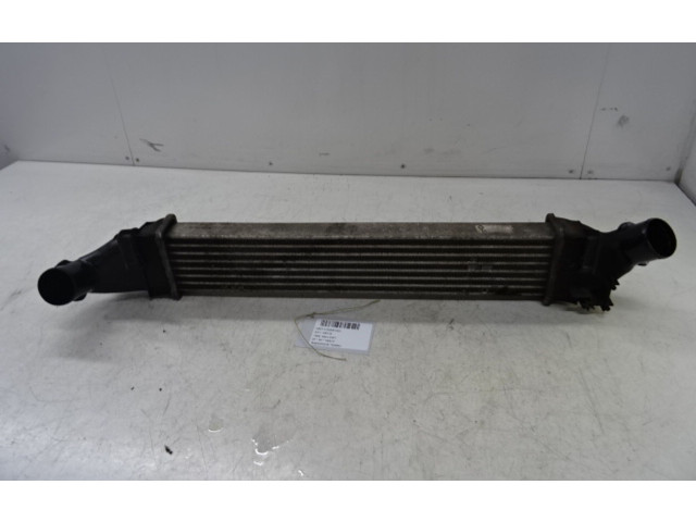 Интеркулер 8200424155, 8200424155 Dacia Logan I