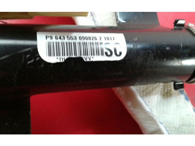 Боковая подушка безопасности P9, 553 Chevrolet Epica