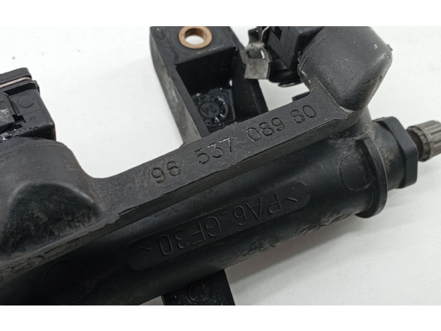 Топливная рампа 9655833580, 9653708980 Citroen C2