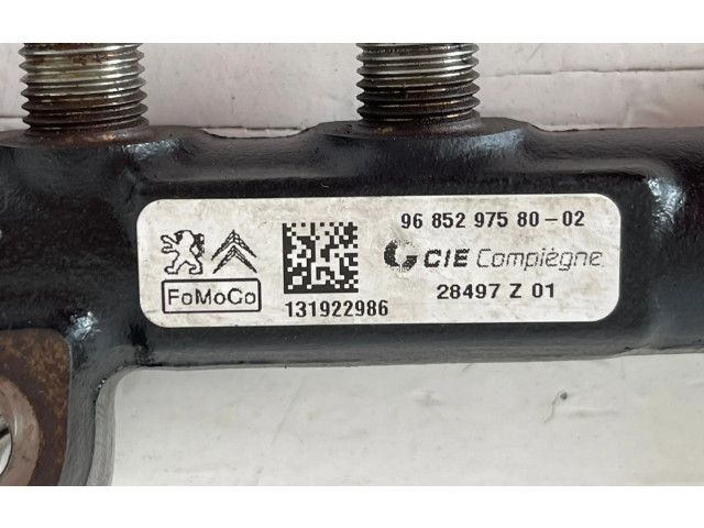 Топливная рампа 968529758002, 8H01   Citroen C3  