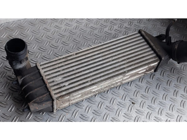 Интеркулер 1489396080, 15095 Citroen C8 2.0