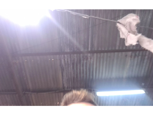 Подушка безопасности водителя 091T21130558   Renault Clio I