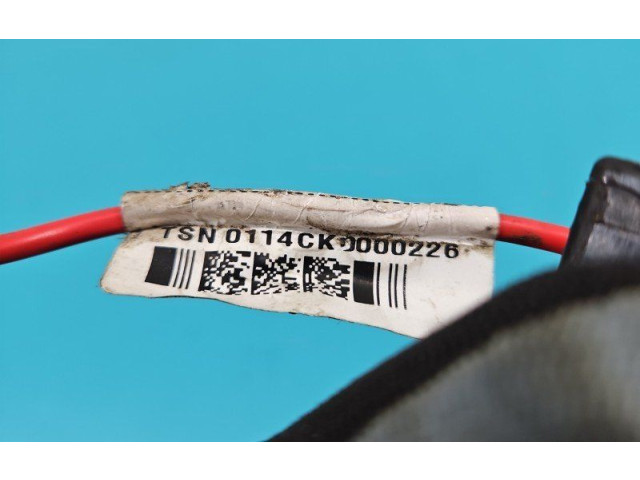 Pojistková skříňka 101200200A, IMPRK1413970 Tela Model S 2014