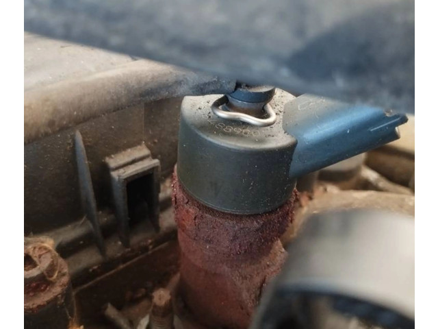 Форсунка 0445110057    Peugeot 807   