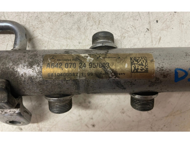 Vstřikovací lišta A6420702495, A6110780449 Mercedes-Benz S W221