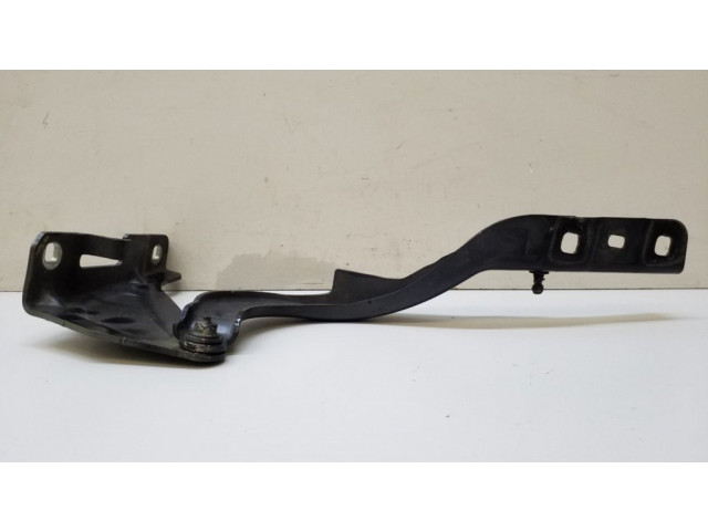 Петля (петли) капота двигателя