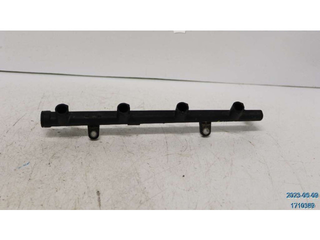 Топливная рампа 8200135504 Renault Megane III для двигателя K4M-866