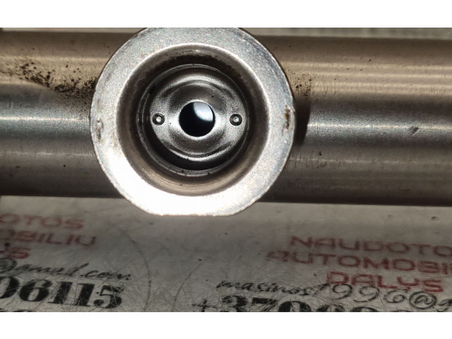 Топливная рампа 04E133320D Skoda Octavia Mk3 (5E) для двигателя CPWA