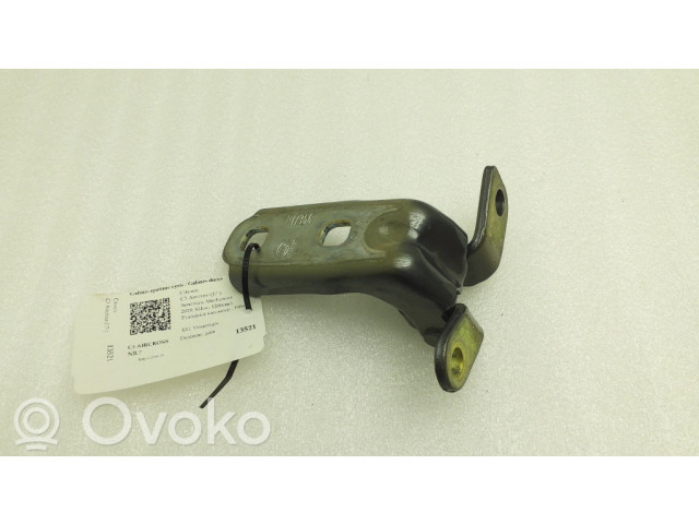 Задняя нижняя петля