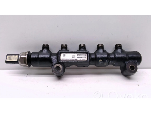 Vstřikovací lišta 9654592680, 220709083258   Citroen Berlingo  pro naftový motor 1.6  