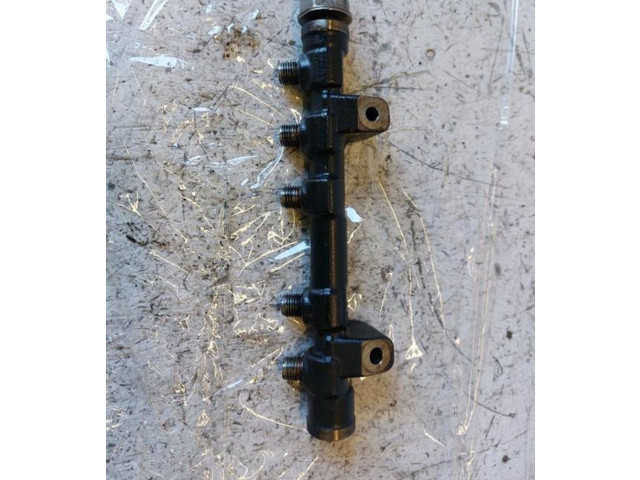 Топливная рампа 0445214318, 0445214318   Citroen C3  