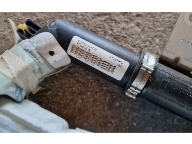 Боковая подушка безопасности 8200025444B   Renault Trafic II (X83)