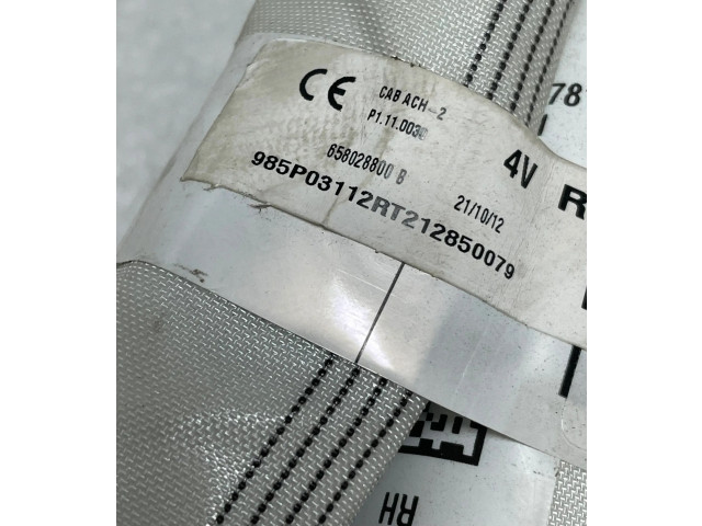 Боковая подушка безопасности    Dacia Spring