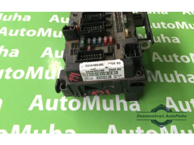 Pojistková skříňka 9646405480 Peugeot 307 2002