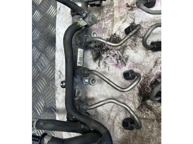 Комплект системы впрыска топлива 059130277cd, 059130755cb    Audi A6 S6 C7 4G  CLA 