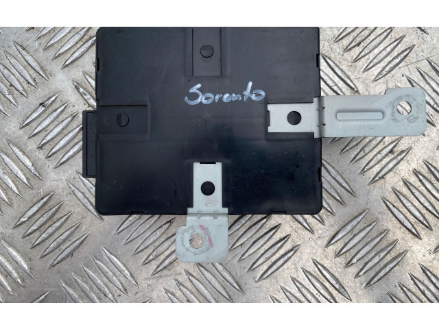 Блок управления 954003E310, S436500071 KIA Sorento