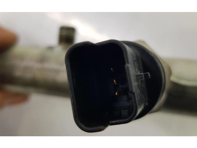 Vstřikovací lišta 157095, 0445214019 Peugeot 206 2.0