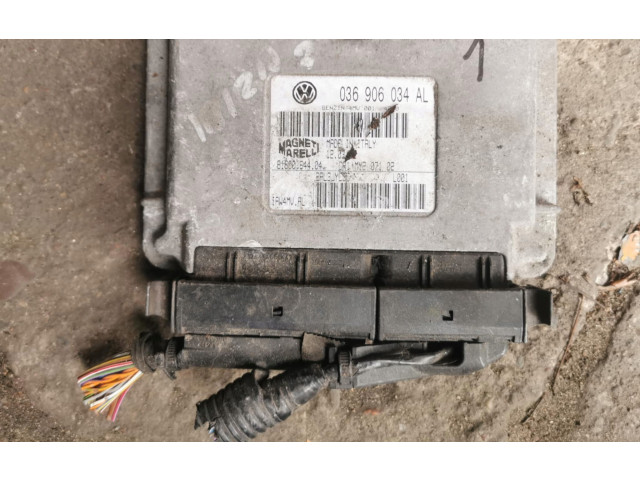 Блок управления двигателя    Seat Ibiza III (6L)