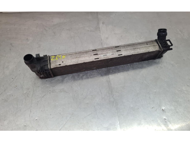 Интеркулер  8200880552, 1100229446   Dacia Duster 