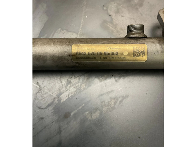 Vstřikovací lišta A6420700695, 0535500446 Mercedes-Benz R W251