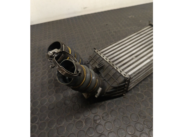 Интеркулер     Citroen C5 