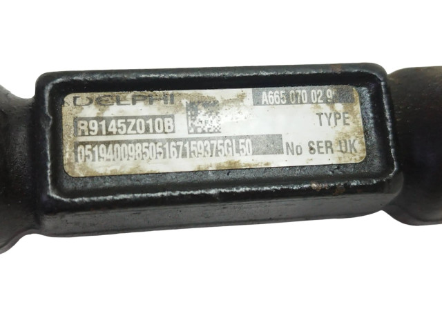 Топливная рампа A6650700295, R9145010B   SsangYong Rexton I   для двигателя D27DT