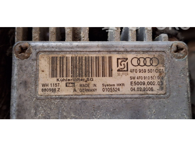 Вентилятор радиатора     4F0959501C, E500900203    Audi A6 S6 C6 4F 