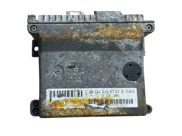 Řídící jednotka 1245456132, ES0013 Mercedes-Benz E W124 1988