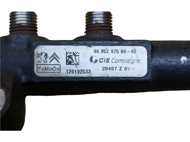 Vstřikovací lišta 9685297580, 9670076780 Citroen Berlingo pro naftový motor 1.6