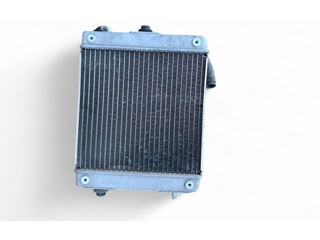 Интеркулер P091281042, ACK100065 Fisker Karma