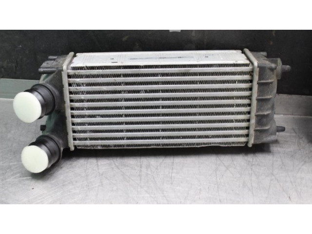 Pojistková skříňka Радиатор интеркулера 9684212480, 9684212480   Citroen Berlingo 2012