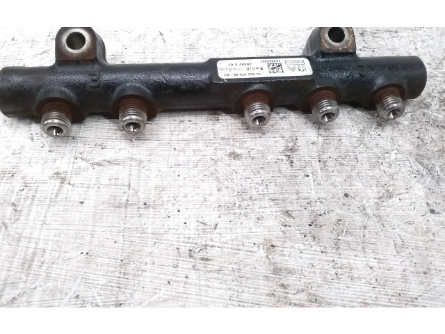 Топливная рампа 9685297580, 28497Z01   Peugeot Expert   для двигателя VF3XT9HM0EZ055989