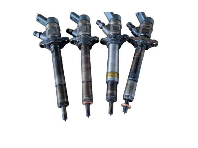 Комплект форсунок 0445110239, 606680 Citroen Berlingo
