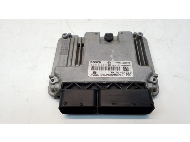 Řídící jednotka 0281016675, 391012F250 Hyundai ix35 2013