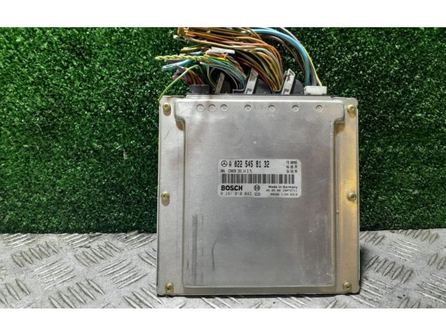 Řídící jednotka 0281010043 Mercedes-Benz E W210