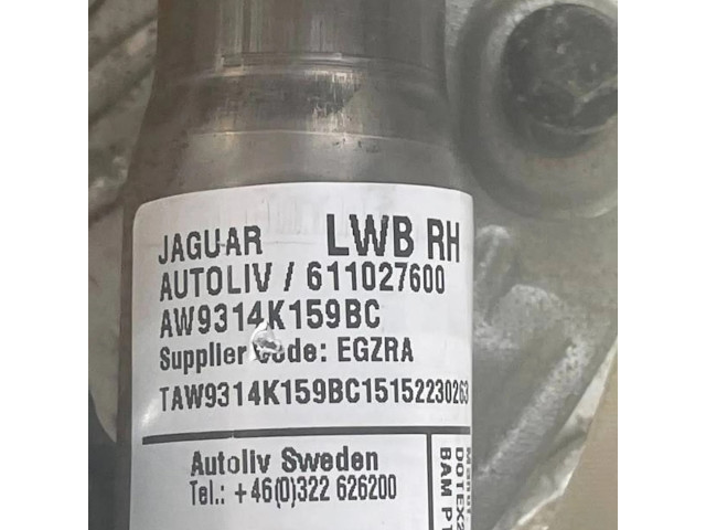 Боковая подушка безопасности AW9314K159BC, 2000000399317 Jaguar XJ X351