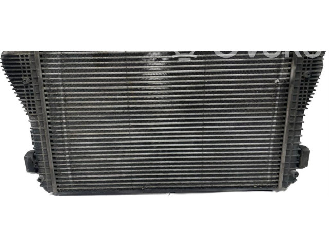 Интеркулер     Skoda Octavia Mk2 (1Z) 