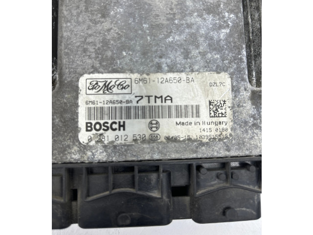 Řídící jednotka 6M6112A650BA, 0281012530 Mazda 3 I 2006