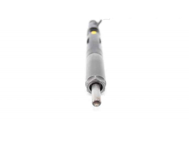 Форсунка 166000897R    Renault Clio III   