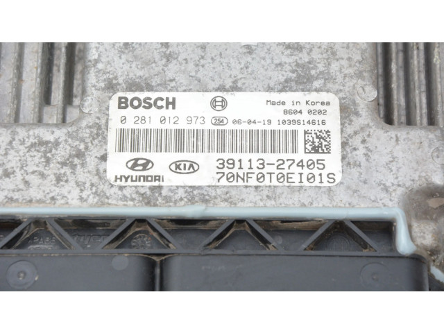 Блок управления двигателем Блок управления 0281012973, 39113-27405 Hyundai Sonata