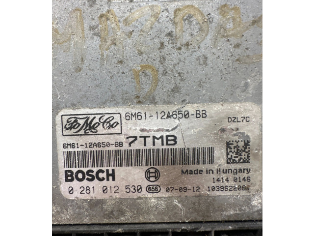 Řídící jednotka 6M6112A650BB, 0281012530 Mazda 3 I 2007